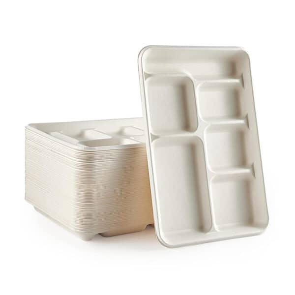 Square Plate 6 Compartment